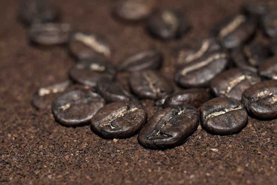 Fertilizzanti naturali fai da te: fondi di caffè